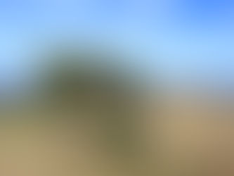 C - 6 : Why Sailors love Ports and hate the Bora