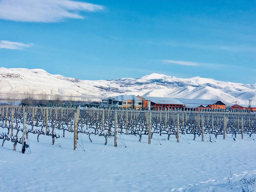 E - 39: Greek Wines from the North (1)