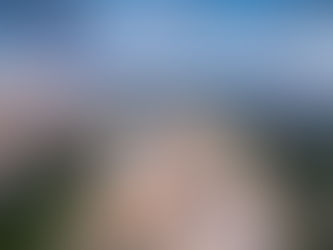 E - 72 : Did Charcoal fund Alexander?