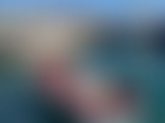 F + 3 : Where Agamemnon hid his Fleet