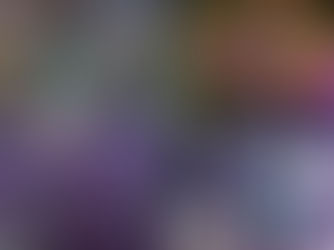 H - 8 : Purple for the Emperor