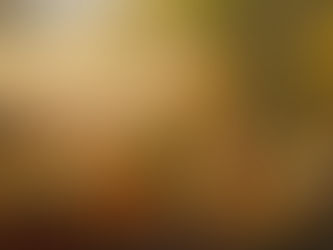 J - 214 : How "Paradise Lost" and "Noah's Arch" became part of our Collective Memory