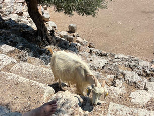 H + 14 : From Lycia to Dorian Lands