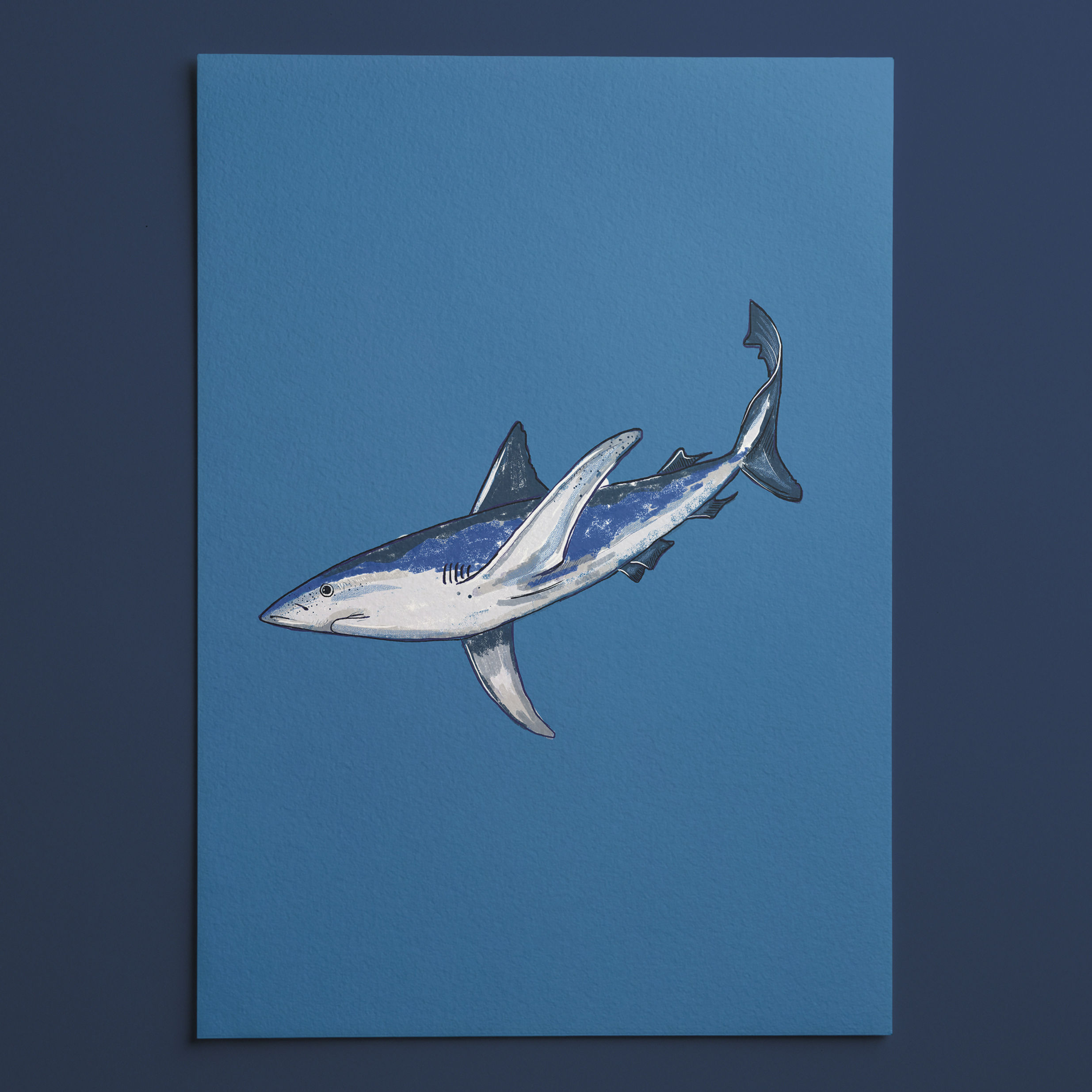 Shark Ray Print