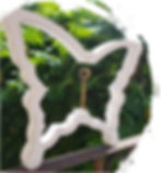 Isabelle Schaller entete_edited.jpg