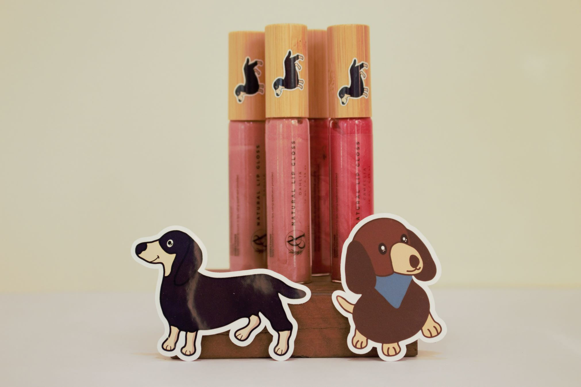 Natural Lip Gloss by Earth and Essence.