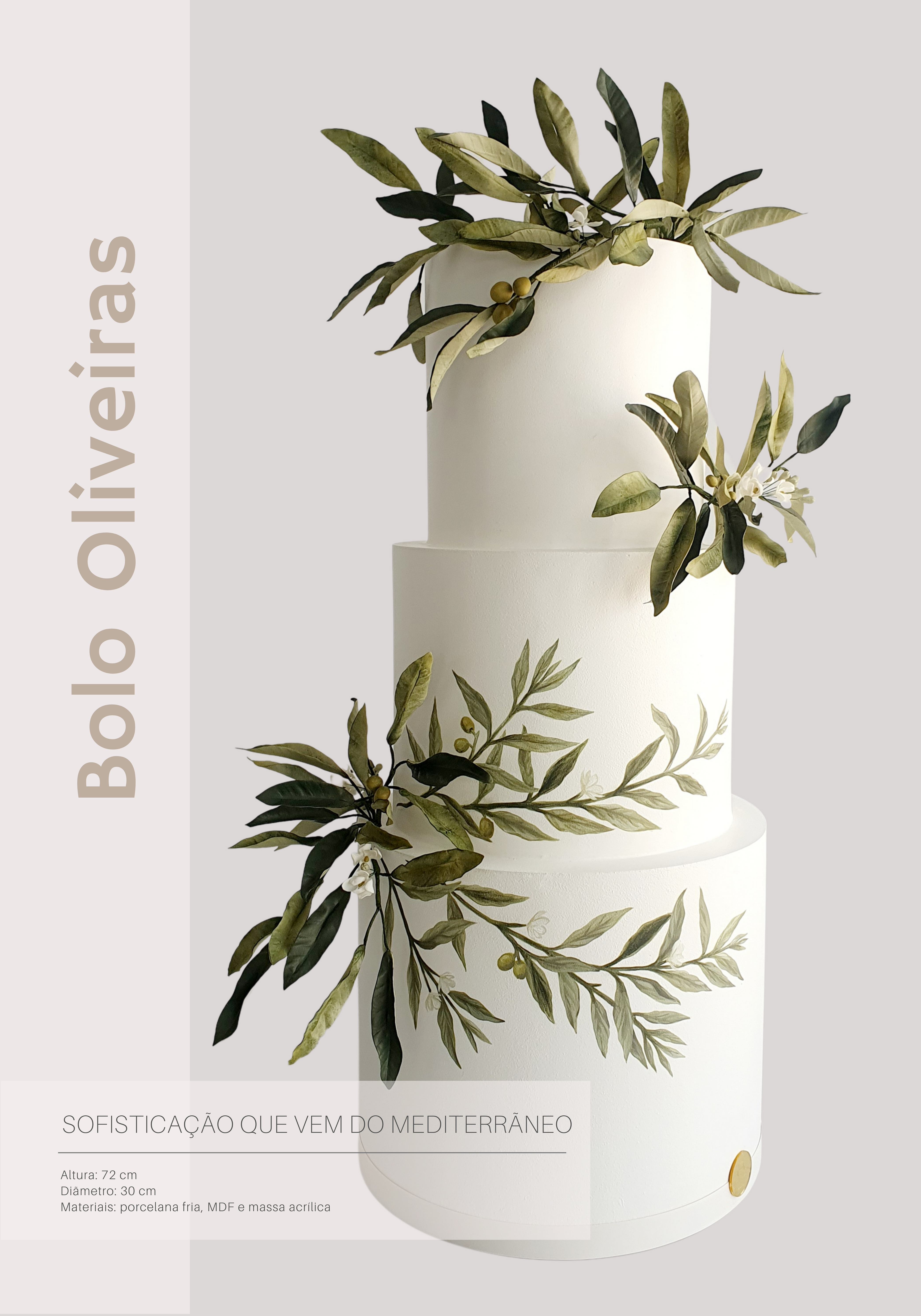 LOCAÇÃO BOLO OLIVEIRAS