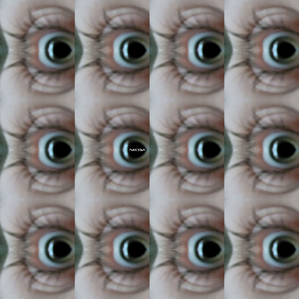 Paranoia Unravelled - 2