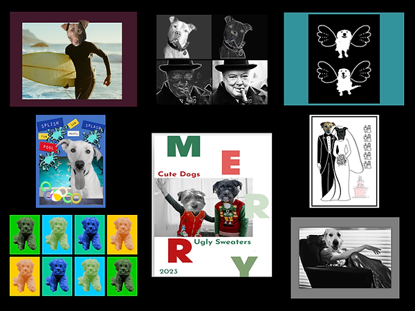 Web collage 3.png