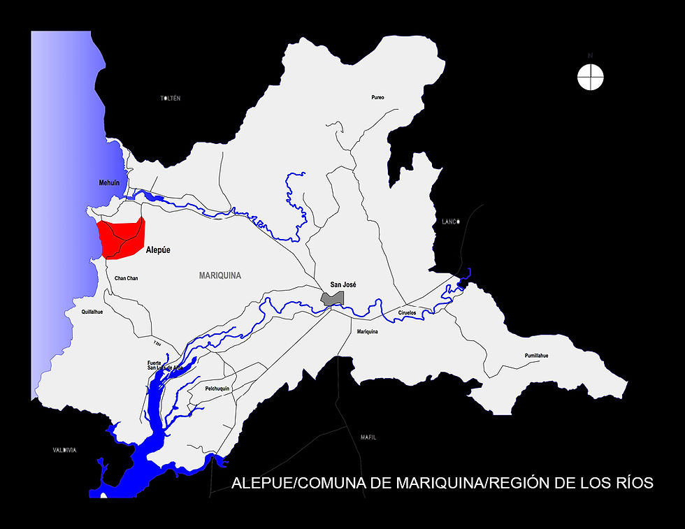 10.-PRESENTACIÓN_FOTOGRÁFICA2.jpg