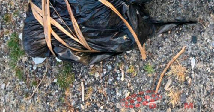 Mató a una mujer y luego la tiró, la dejó dentro de una bolsa plástica
