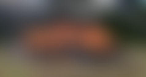 Militares queman más de 400 kilos de drogas en Yucatán