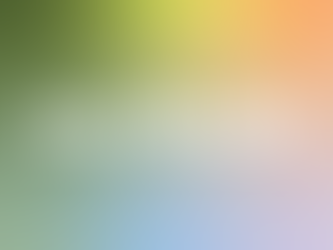 De sprong in het diepe | Het begin van Joy Studio