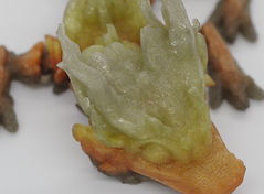 WOODLAND_Toddler_Fall_Detail(01).jpg