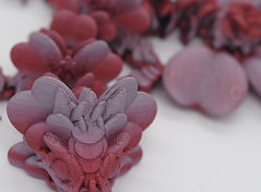 CLOVER_Toddler_Rose_Details(DownSized).jpg