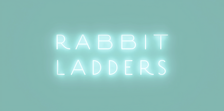 Rabbit Ladders  |  Store Design