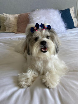 princesa