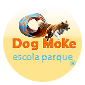 eSCOLA%20pAERQUE%20(1)_edited.png