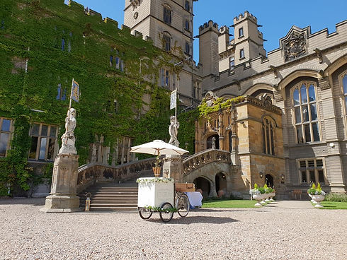 40685581_1788421007874532_47331669178318