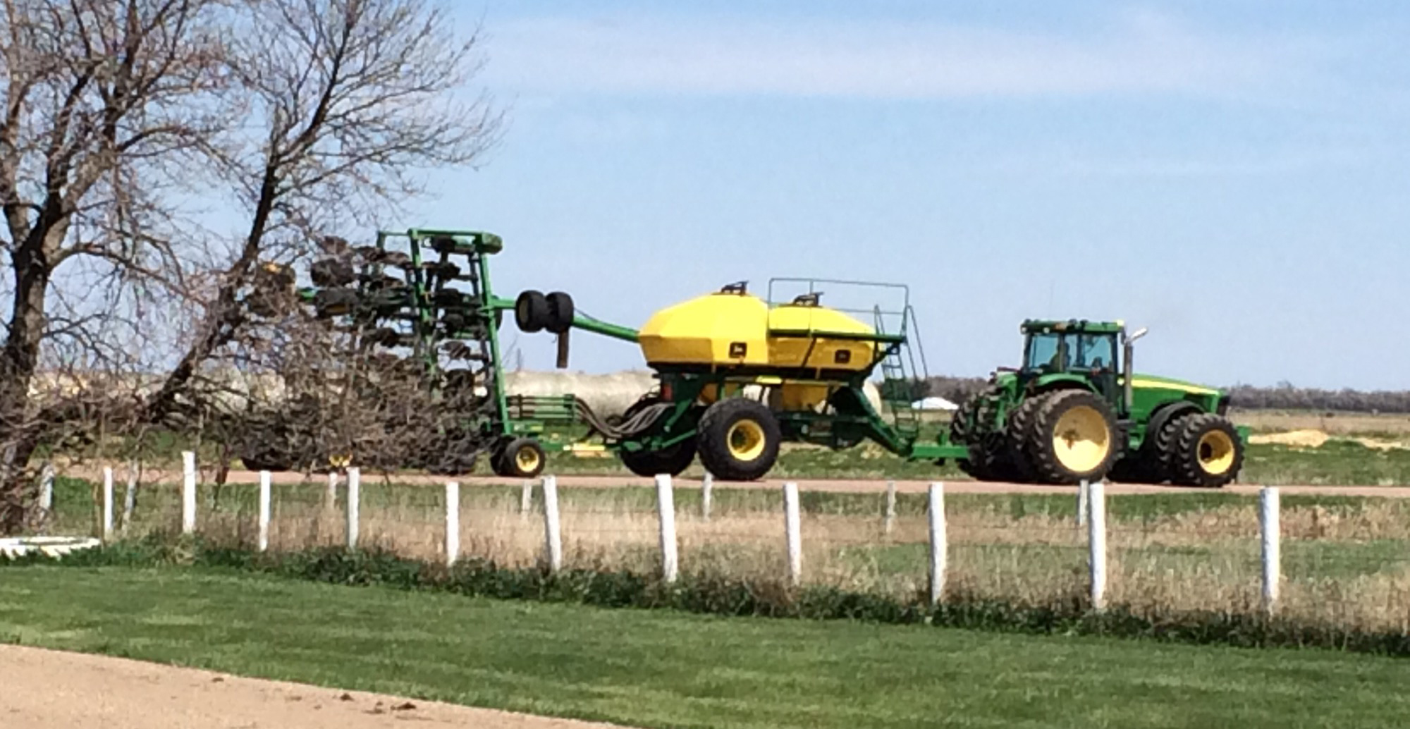 Cattle Kimball, SD M & E Angus