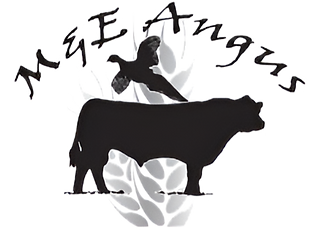 logo-mande-no bkg (1)_edited.png