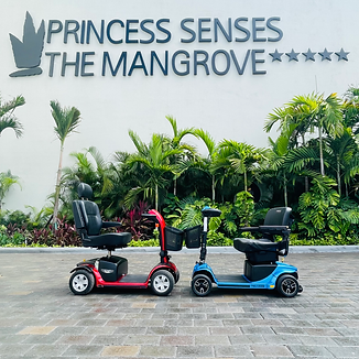 Irie Mobility Pride Victory Sport and Revo 2.0 at Princess Senses The Mangrove Red.HEIC