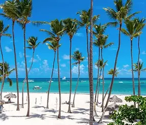Ducassi Suites Beach Club & Spa.webp