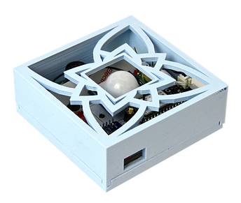 IES White.png
