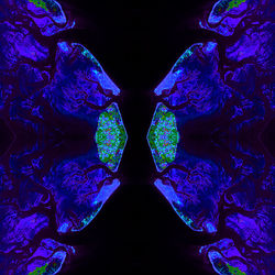 netherlands-gullies039 - Copy