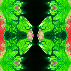 netherlands-gullies045 - Copy