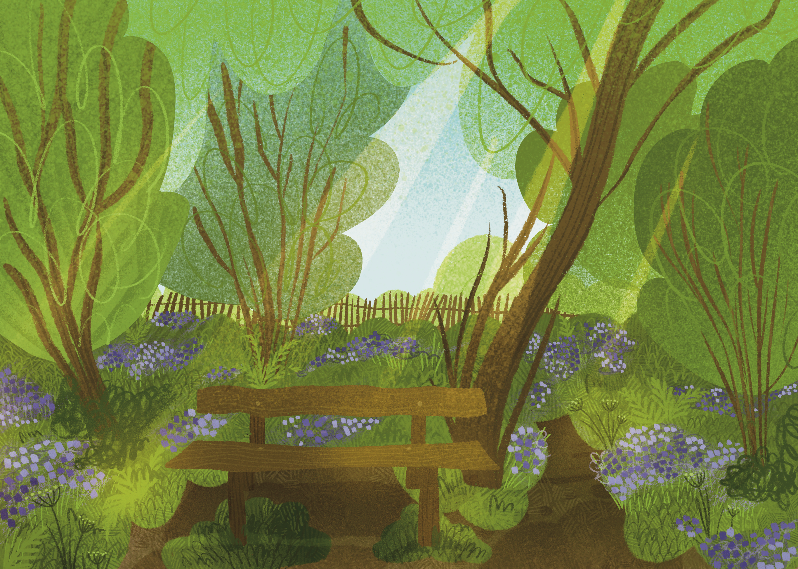 Butchers Wood - South Downs Art Print