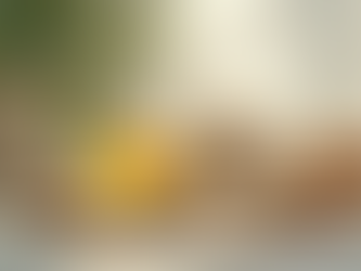 Why Clean Beauty Matters for You