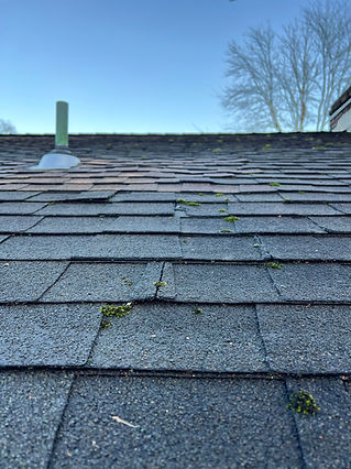 Moss growth on the roof and waving shingles