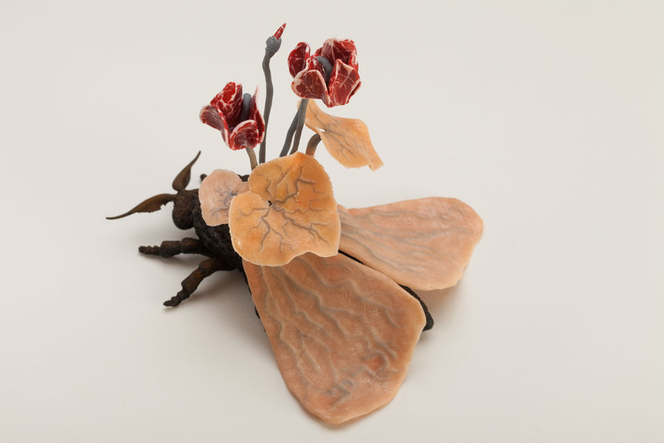 ronilanda-moth.jpg