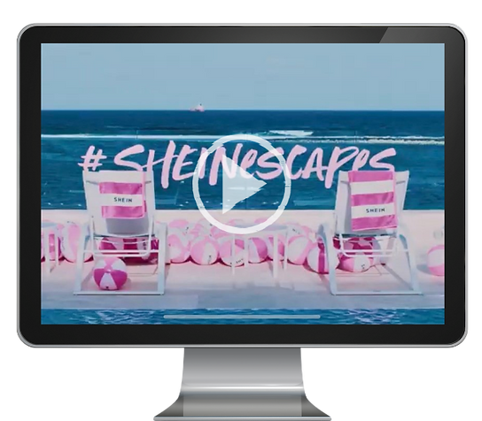 PD WEBSITE ASSETS (2).png