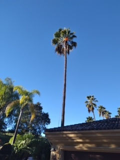 image1 (5).jpeg