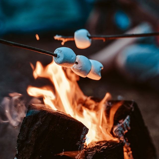Toasted Marshmallow