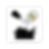 5.Cooking Seasoning