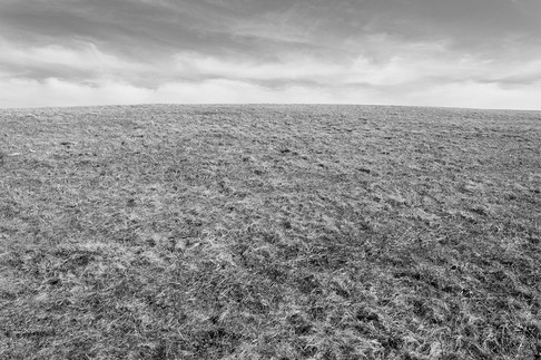 Max Patch