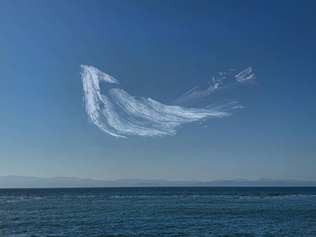 Holding the Opposites: When Harmony Meets Conflict