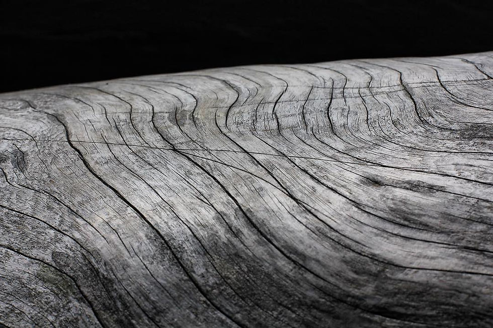 Close-up of textured, weathered wood with wavy grain patterns, set against a dark background, conveying a rustic and aged feel.