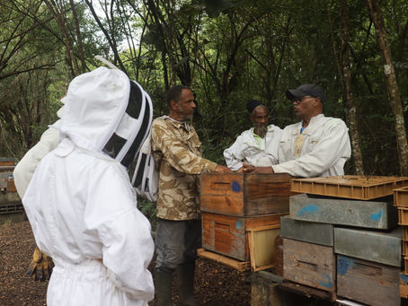 Formations en Apiculture en Martinique
