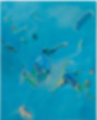 Blue bird_2022