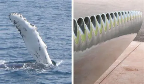 humpback whale fin and wind turbine blade