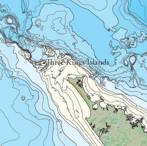 bathymetric chart of north New Zealand
