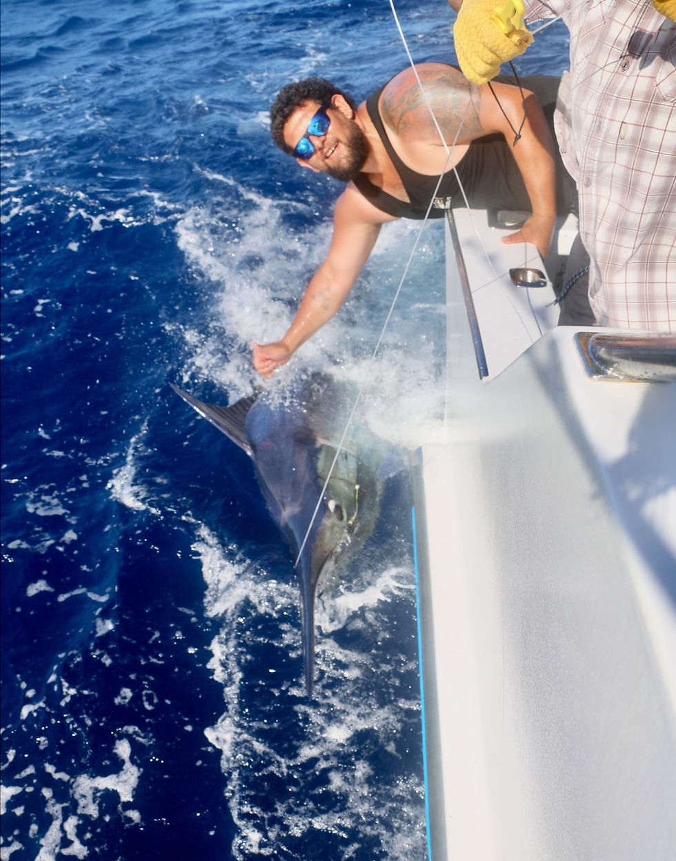 Man on November Rain at side of boat, with Marlin in Cairns