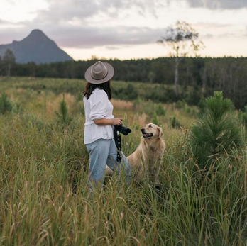 GLASSHOUSE MOUNTAINS, QLD