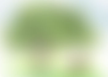 What if a piggy eats an apple?