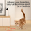 Thumbnail: PurePaw | Interactive Smart Pet LED Laser