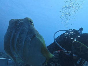 2026.3/23 大崎から曽根、そしてヨナラへ